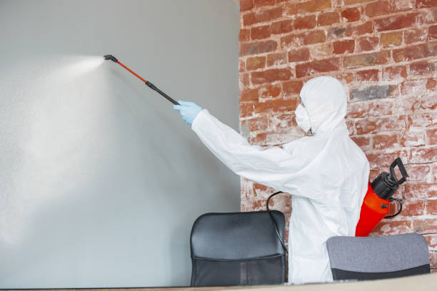 Mold Documentation for Insurance Claims in Rock Hill, SC