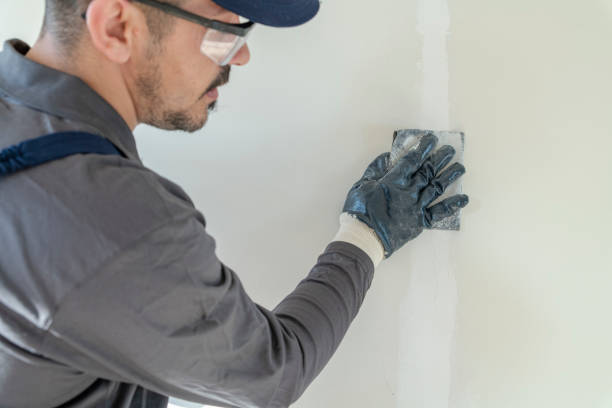 Best Post-Construction Mold Inspection  in Rock Hill, SC