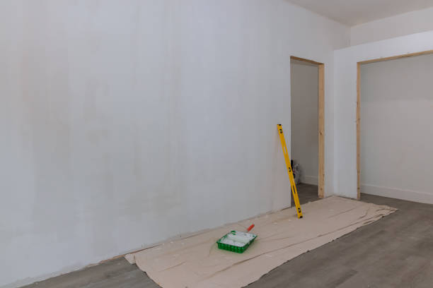 Best Basement Mold Removal  in Rock Hill, SC