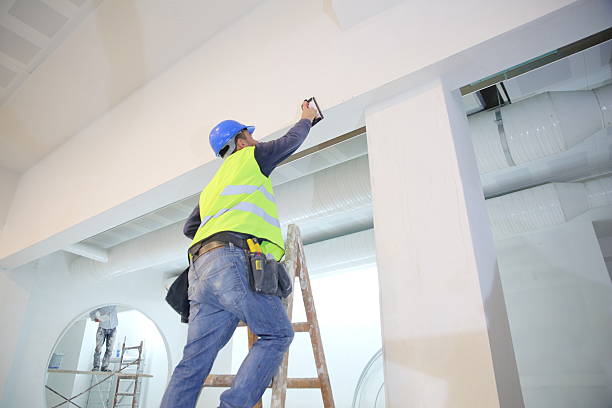 Best Mold Remediation for Healthcare Facilities  in Rock Hill, SC