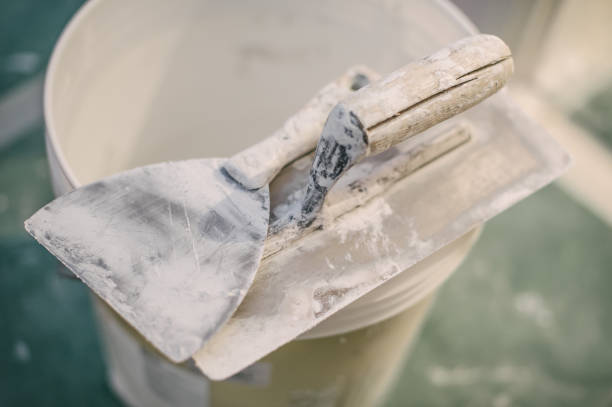 Best Emergency Mold Remediation  in Rock Hill, SC