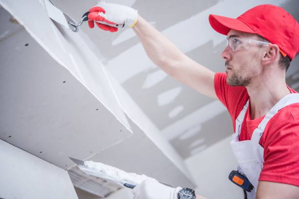 Best Environmental Consulting for Mold Prevention  in Rock Hill, SC