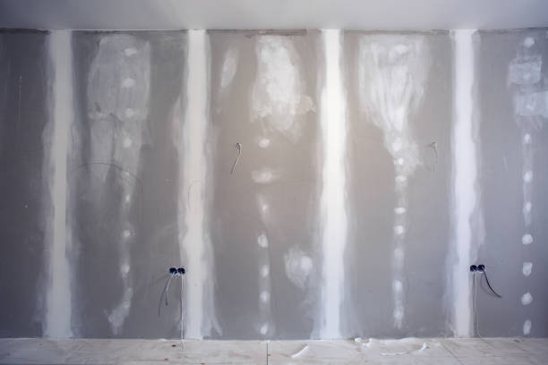  Rock Hill, SC Mold Removal Pros